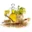 Mustard Oil